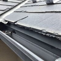 IMG_0221_R