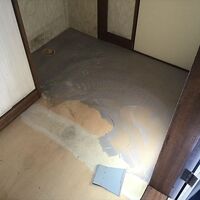 IMG_2445_R