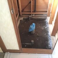 IMG_2368_R