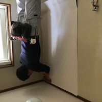 IMG_0202_R-e1585313553763
