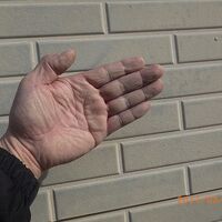 外壁洗浄1