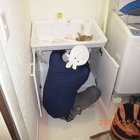 浴室、洗面、トイレ、シロアリ施工事例14