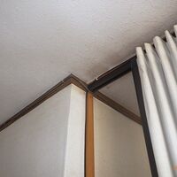 アコーディオン2