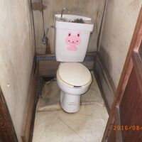 縮小