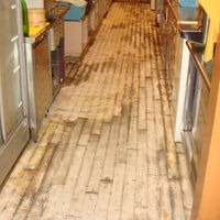 otherreform_10_1