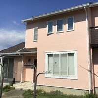 IMG_9295