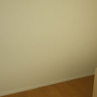 USER5234