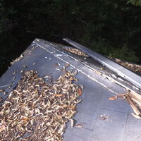 前②