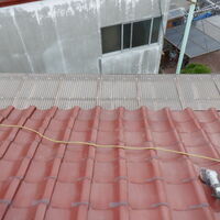 DSCF6202