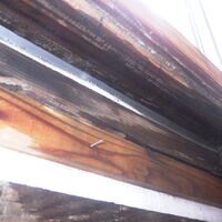 現地調査⑤