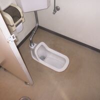 ②