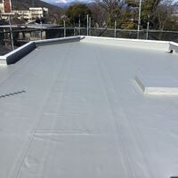 IMG_0886