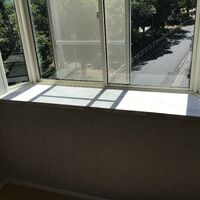 IMG_4619