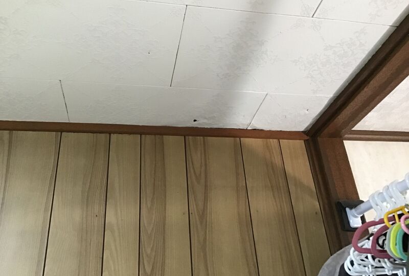 ①