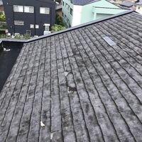 IMG_5169