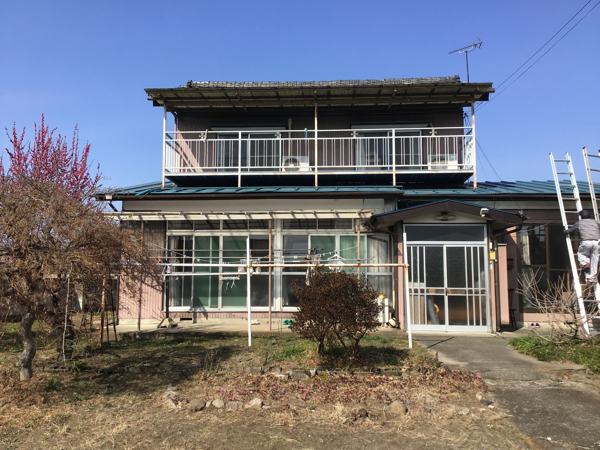 コピー全景前