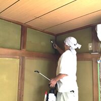 投降④